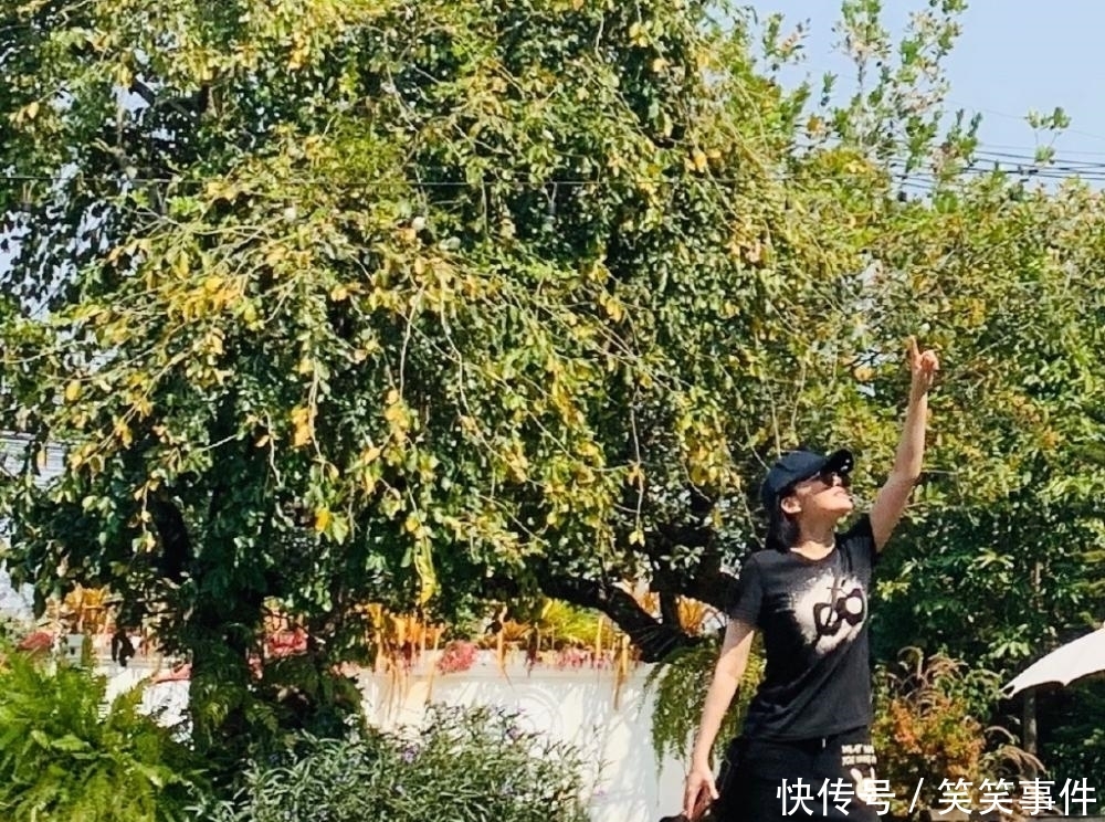 「 高级」剪掉十年长发却意外时尚高级,至少年轻20岁,50岁许晴也太惊艳了