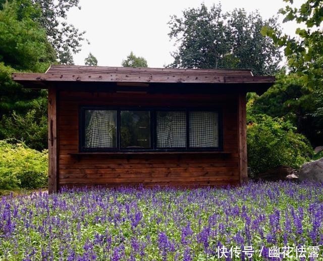 北京唯一的“日式园林”,门票只收2毛钱,至今都未涨过价