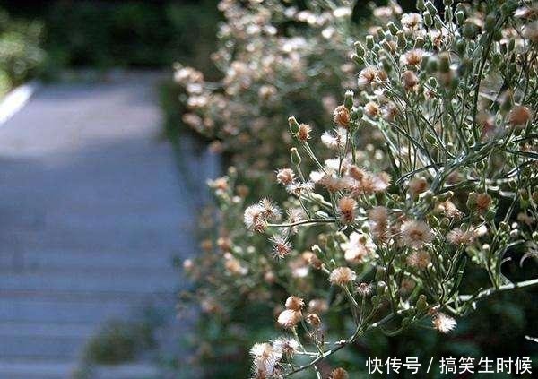  德安县|江西九江这三个地方被国家选中，即将有大发展！