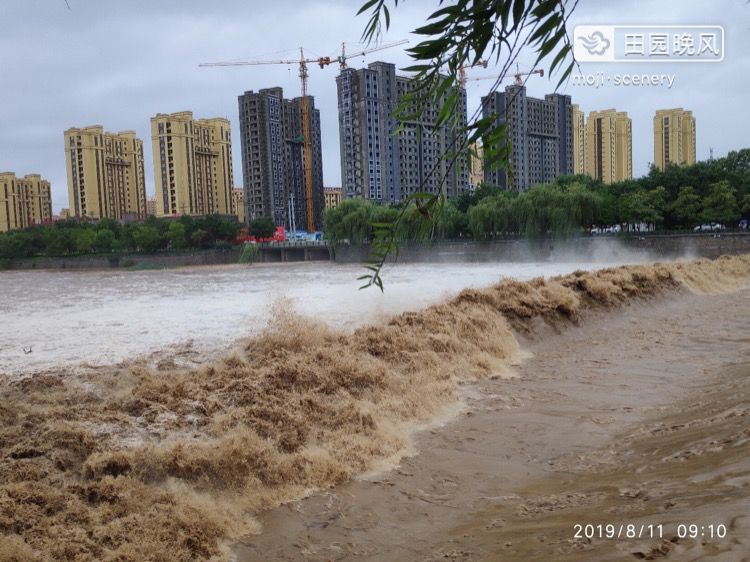 超强台风“利奇马”登陆 山东多地强风暴雨|组图