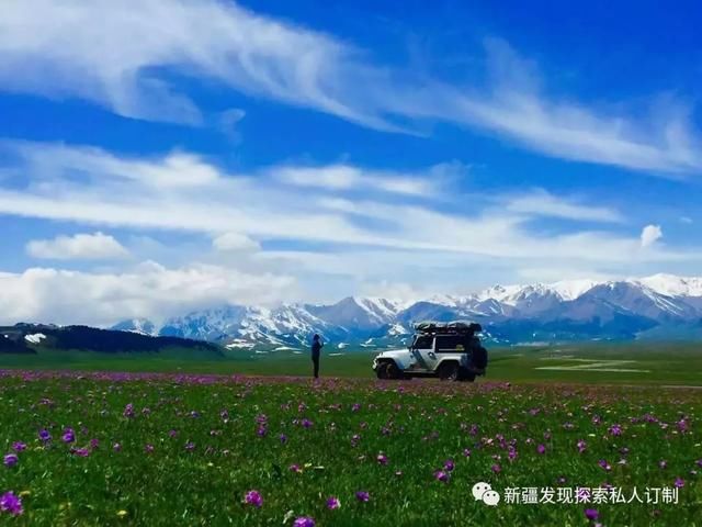 去了北疆才知道，中国有多大；去了南疆才知道，中国有多美