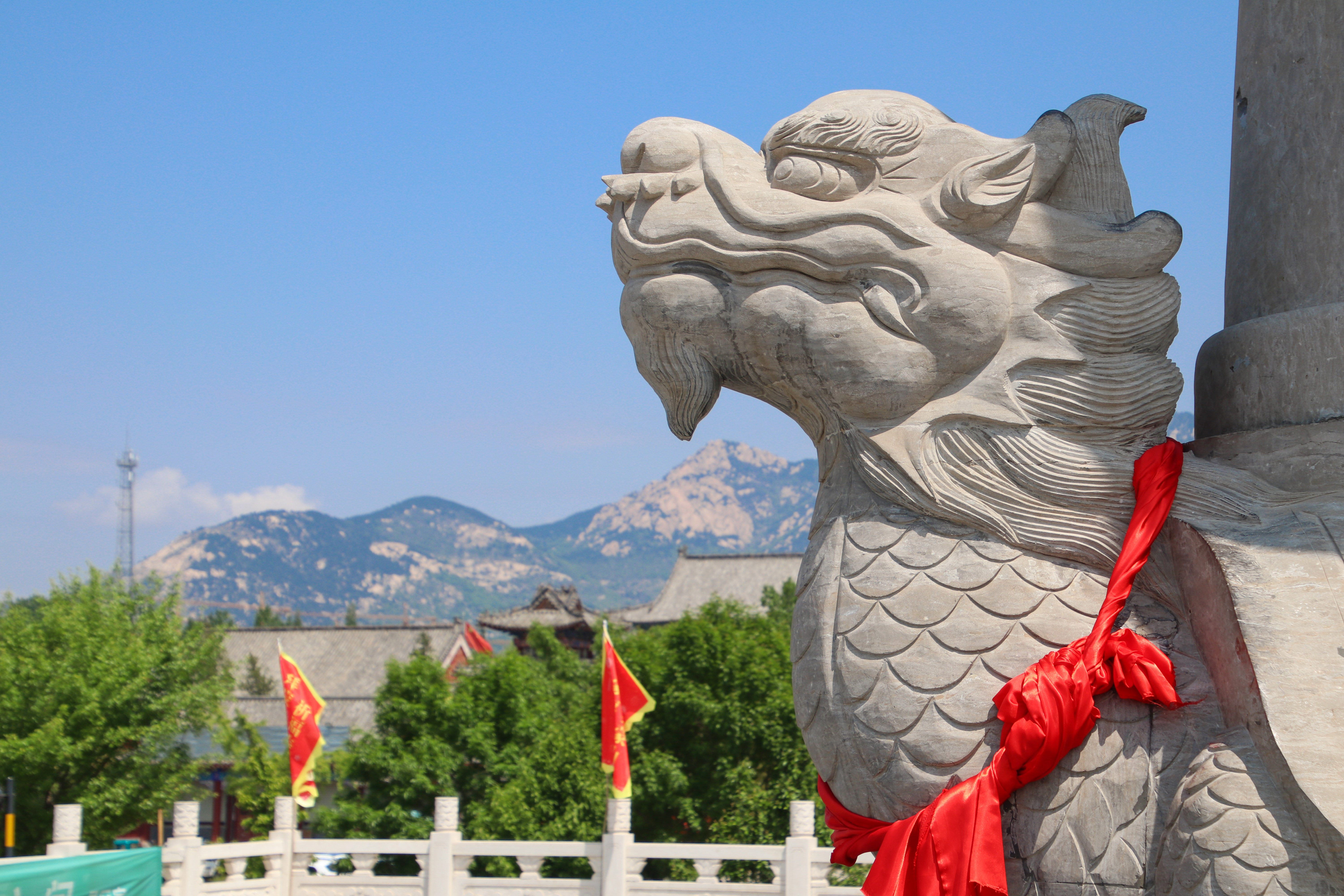 来沂蒙山，我“养”你啊