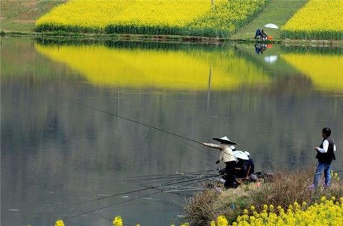  #下午四点#什么样的天气适合钓鱼，天气温度很重要，决定鱼咬不咬鱼钩