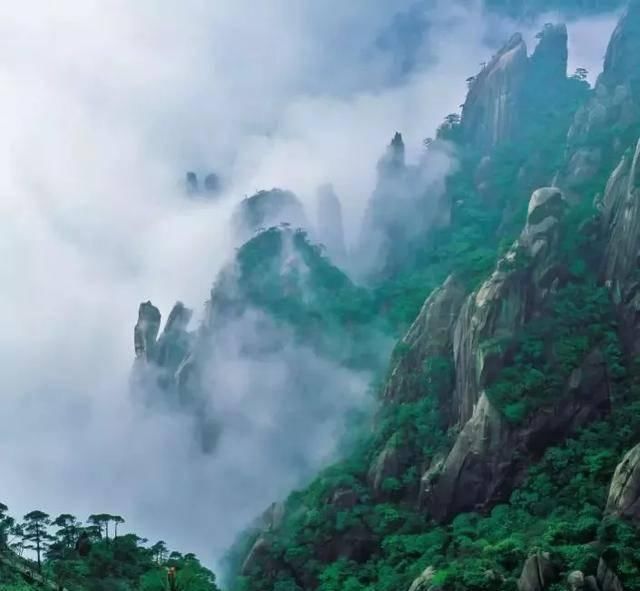  『一幅幅』在雨里，三清山幻化成一幅幅水墨丹青…