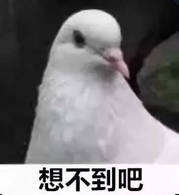  阅兵@阅兵时的脚步声怎么这么震撼？原来......