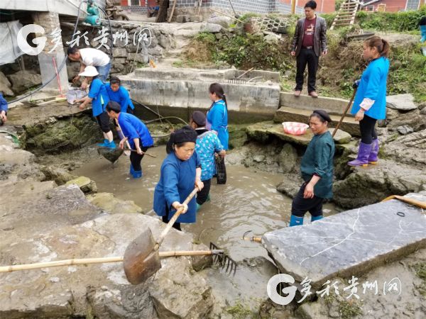 三都石板村有位＂靠谱＂的80后村支书