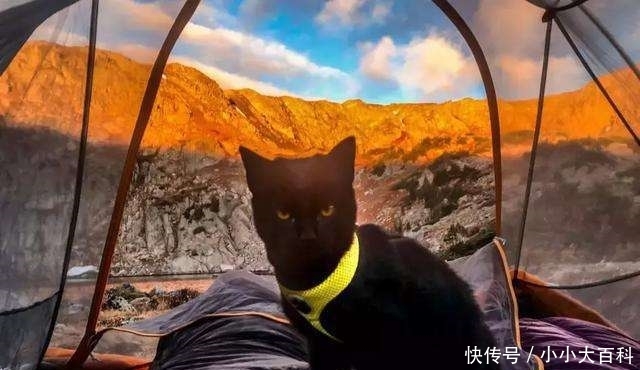 去旅游时去玩的时候突然想上厕所,但是附近没有厕所你会怎么办?