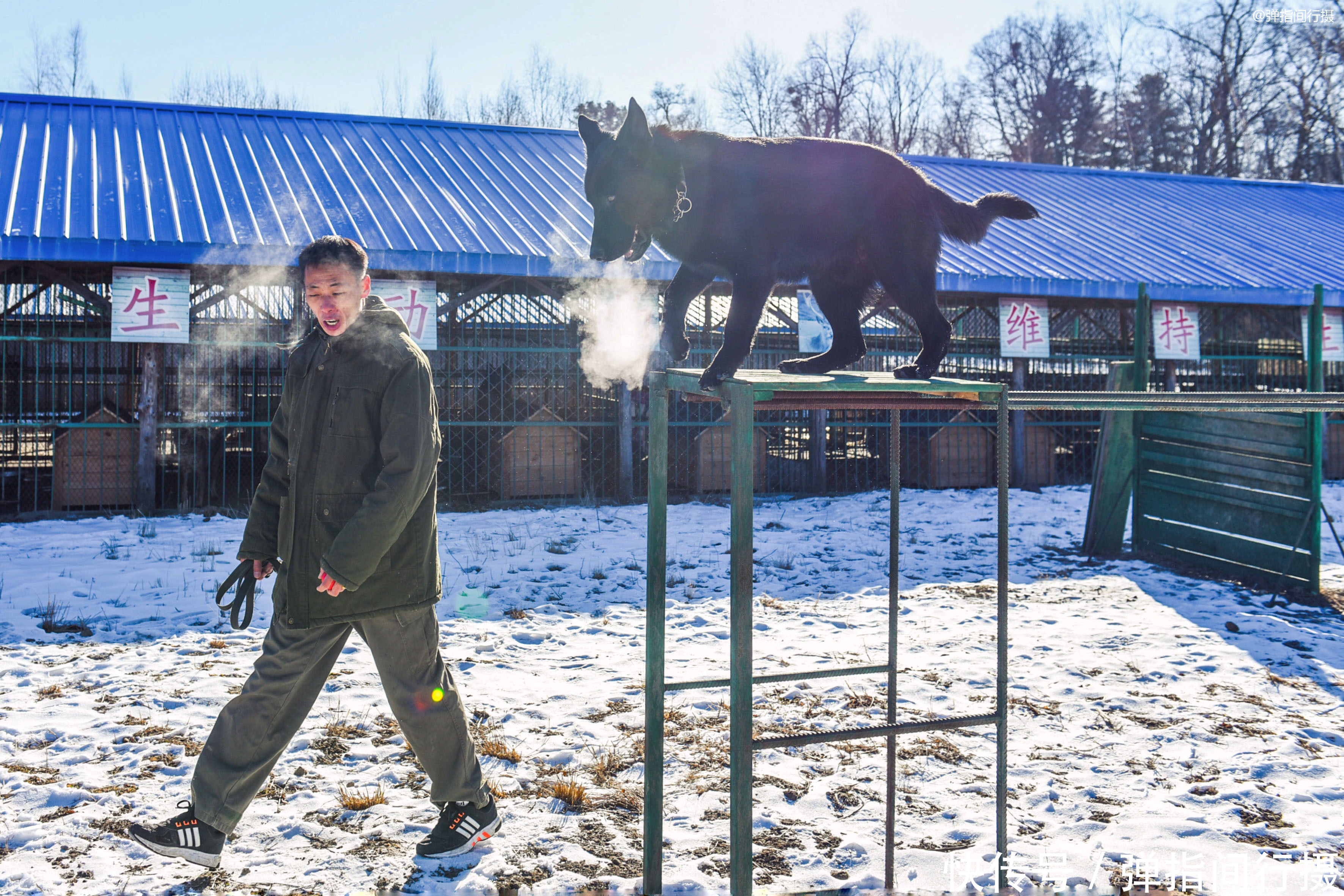 在-35℃的山林巡护，他们的工作为长白山带来什么？看完你会感动