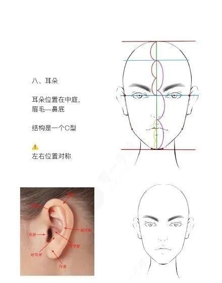 『绘制』服装效果图之(头部五官及“三庭五眼绘制教程)