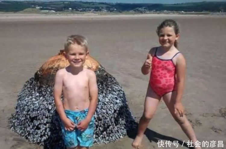 父母拍下孩子在海滩的照片，五天后真相曝光！警察立马封锁现场