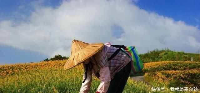  [农业发展]未来的农民该去哪里，以后在农村能干什么