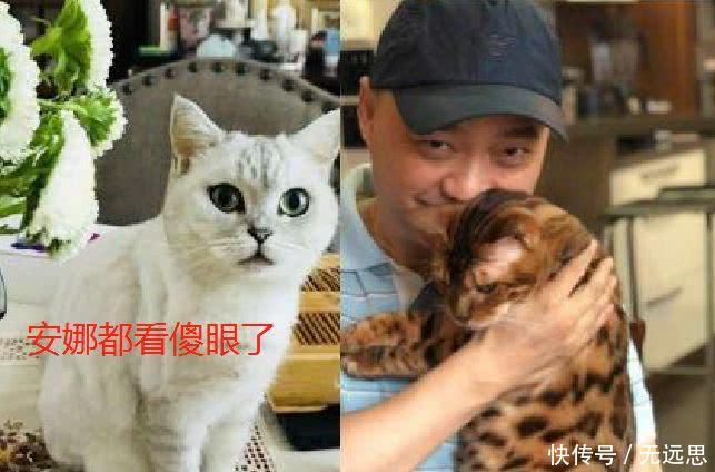 崔永元回来了! 冰冰、冯裤子亲密照流出, 网友: 安娜都看傻眼了!