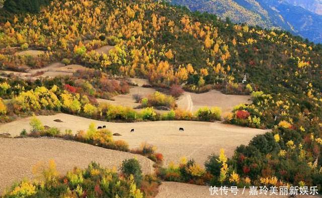 云南最聪明的县级市,经济不好马上改名,现在的名气比省会还高