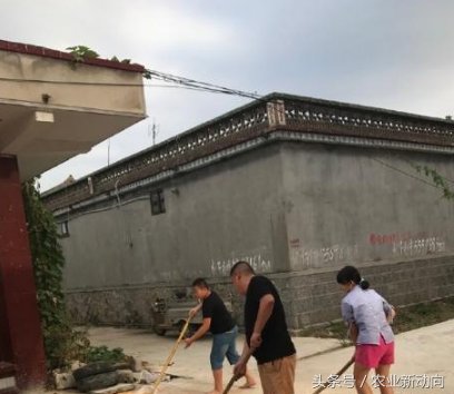 草帽姐终于忍无可忍了，澄清炫富的理由，网友:骗人当然心累了