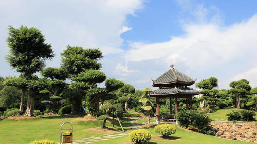 被中外游人盛誉为中国的“绿都”—南宁