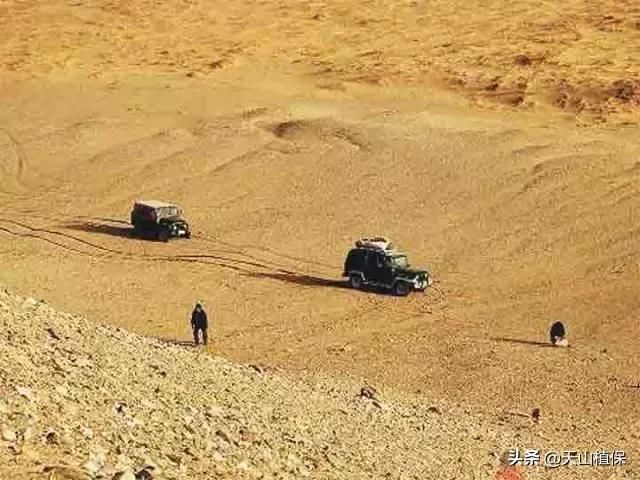 新疆17个捡宝石、玉石的地方 ！