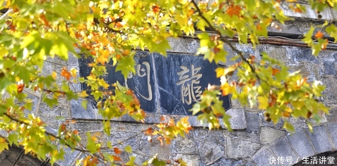 高颜值龙门石窟!快来“中国最大的露天石刻艺术博物馆”打卡吧!