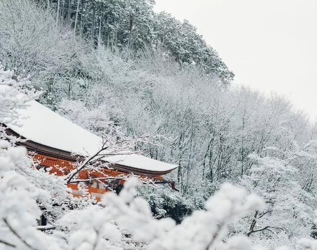 日本推荐！冬季一定不能错过的雪天绝景