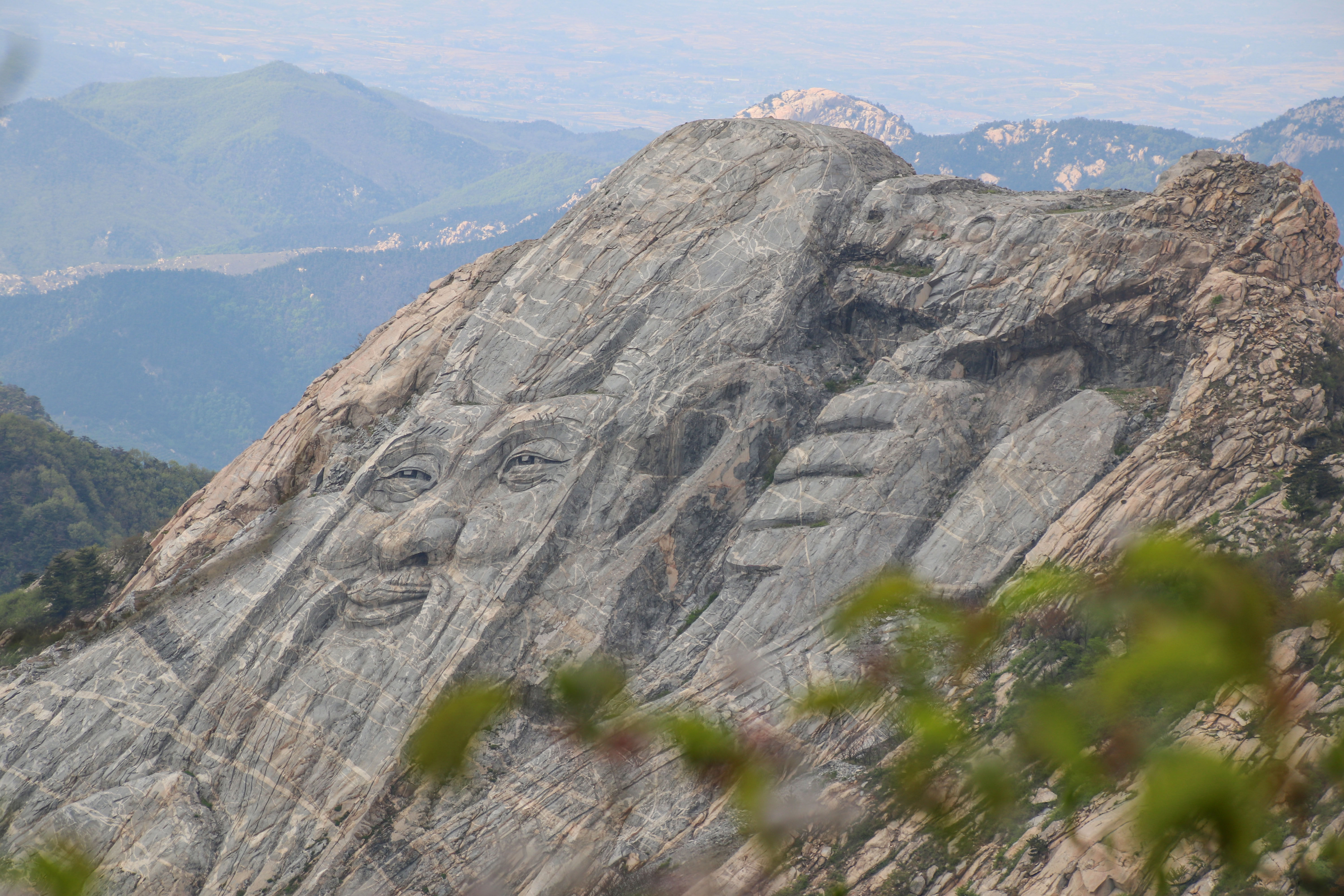 来沂蒙山，我“养”你啊