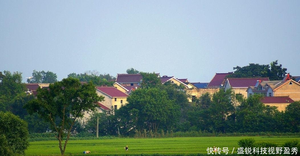  「抓紧」下半年农村三类证件要抓紧办理，不然损失大，大家别马