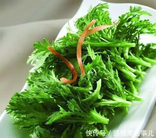 『蔬菜』这四种盆栽蔬菜太好种了, 不用怎么管都能爆盆, 想吃直接摘