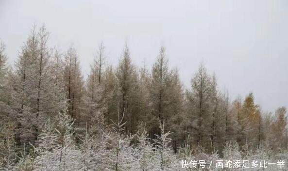  胚胎■漠河入秋第一场雪来了！16号台风即将减弱消失，17号台风