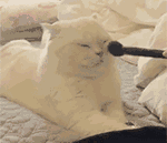 病人投诉我长得丑，这就算了!医院还让我必须干这些事!