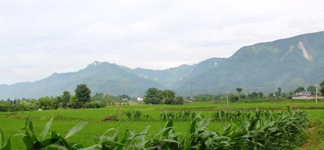  「补贴」农村粮补新变化，2类人提高补贴标准，4类人取消领取资