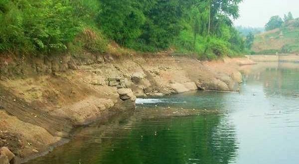 #进食动作#野钓三大杀招:懂天文、知地理、解鱼性,一钓一个准