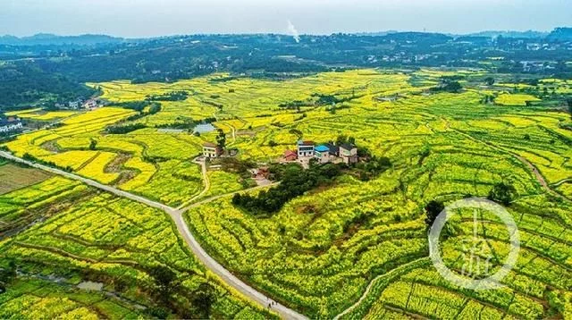暖春花开香百里 乡村发展正当时【2020热门旅游景点】