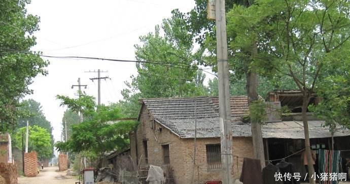 农村老话“生不睡柳, 死不睡杨”啥意思, 有道理吗