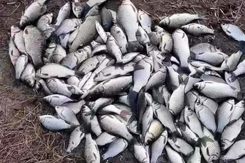  冬季|冬季钓鱼先看天，这些天气出钓，最容易爆护！