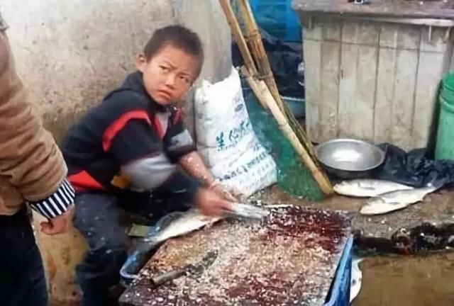 网红“杀鱼弟”喝农药自杀：当贫穷无药可救，谈道德是否太伪善