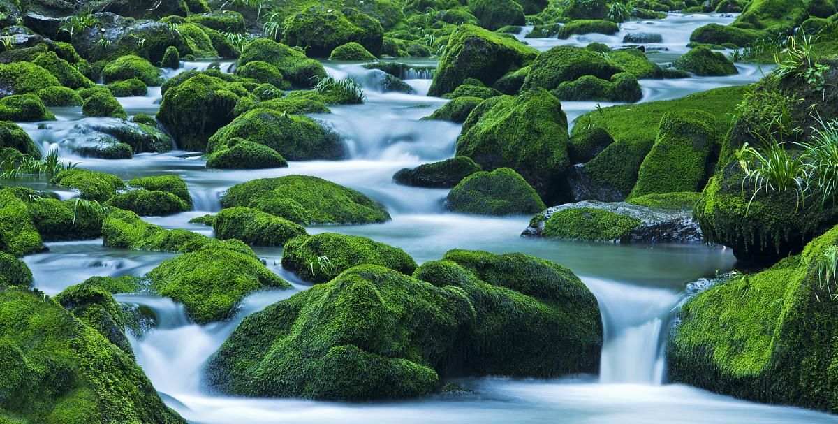  『水温』养鱼之前先观水“氧”“温”“色”——水色的调节