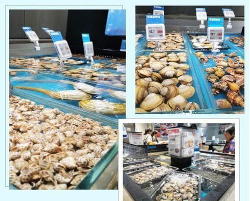  水产@广东首届渔业种博会下月南沙举行，渔业高科技园现场展示