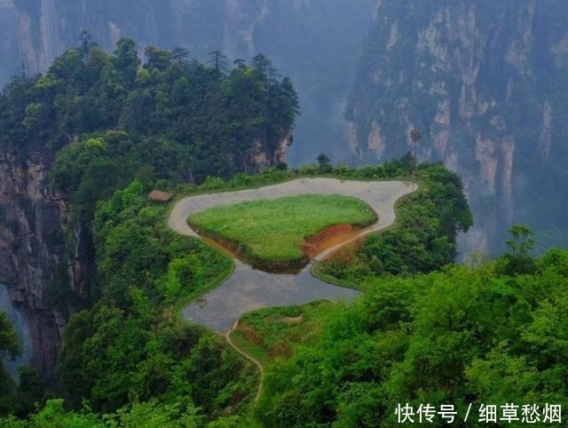 湖南的“空中田园”，建在千米山顶之上，四周都是万丈深渊