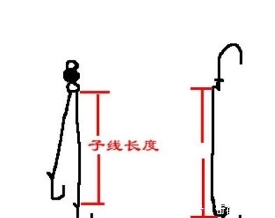  「子线」子线长度讲究多，究竟选多长要看这3点！