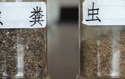 这个恐怖工厂：养10亿只蟑螂，每天喂50吨饭（饭前慎入！）