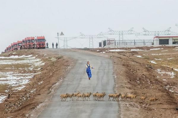 可可西里无人区  盐湖沙漠雅丹雪山湖泊草原原始风貌生机盎然