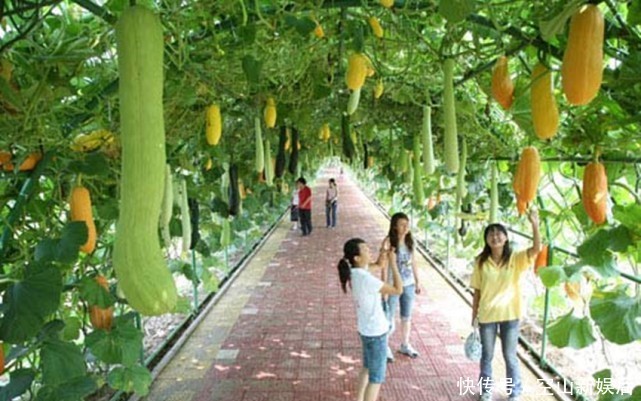 耕地荒废3年会被无偿回收，闲置宅基地也“连坐”，真的吗？