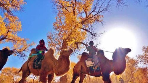 国内最有趣的航线：平飞5分钟，票价5元，有当地人乘飞机去买菜