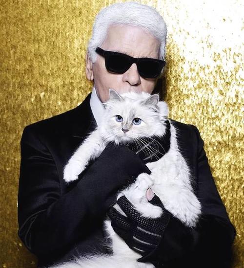 蔡徐坤：做一个精致男孩有问题吗？