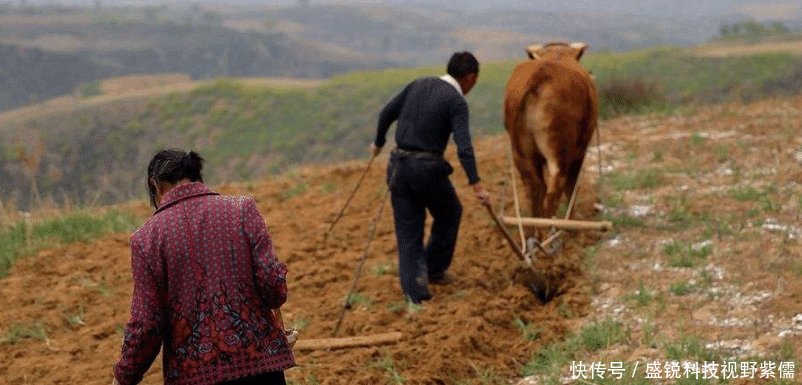 身份证69-79年的农民，下半辈子要面临5大难题，现在该开始准备了