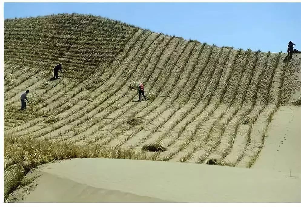 中国把千年沙漠治理成了绿洲?联合国都坐不住了