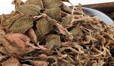  「人称」农村人称它为“金丝草”野生的一株难求，人工种植的120