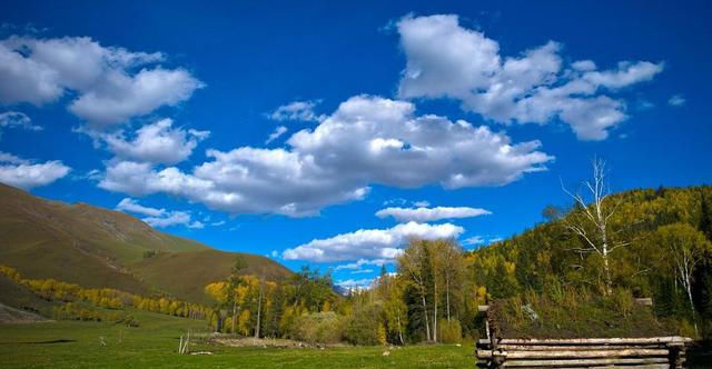  [承包]从2020年开始，承包土地的农民可以得到多少国家的补助金