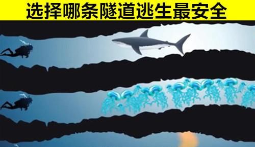 逻辑@8个极其考验你在生活中逻辑能力的有趣谜题