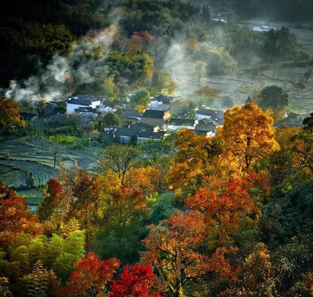 最适合深秋11月的10条自驾路线！人少景美，不拥挤