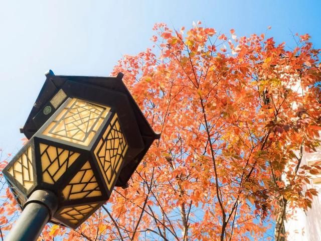 打卡南京深秋超小众拍照地,一秒变网红