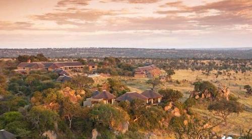 坦桑尼亚——东非大陆的一颗明珠！